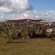 Blue Rock Festival